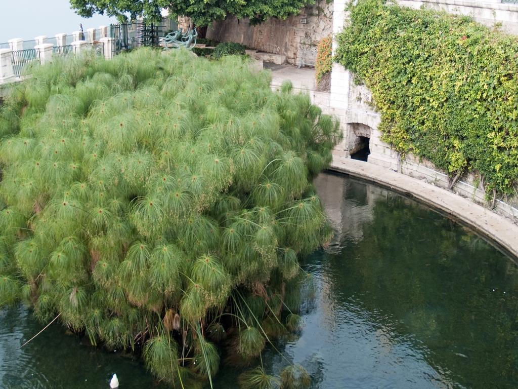 Appartamento La Rosa Di Ortigia *