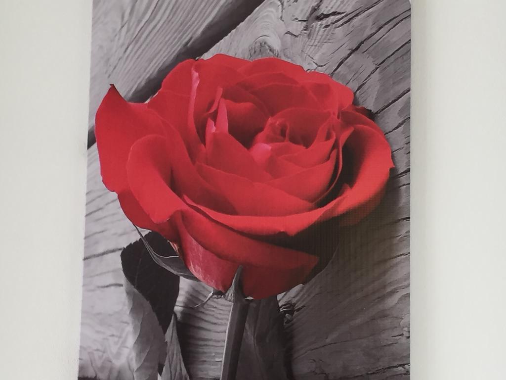 Appartamento La Rosa Di Ortigia Syracuse